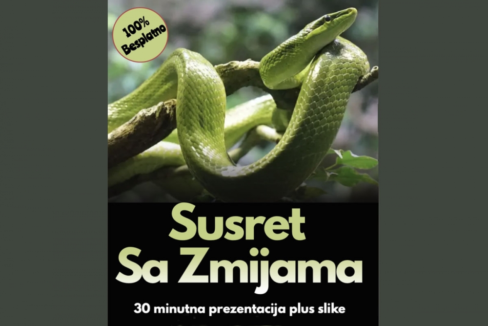 Susret sa Zmijama u Parku Striježice, 30-minutna prezentacija i slikavanje s njima