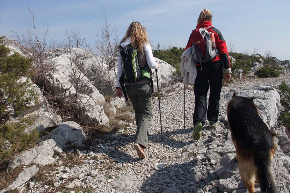 Studentski katolički centar poziva na Sportsko-rekreacijsko penjanje na Snježnicu za mlade