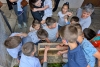 Mala bića velike važnosti: U sklopu akcije Budi kao Cvijeto mno&scaron;tvo djece obilježilo Dan pčela u Pridvorju