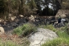 Paljenje suhe trave i korova jutros izazvalo požar na Brašini, izgorjelo 300 kvadrata niskog raslinja (FOTO)