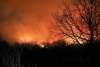 Spaljivali korov i nisko raslinje; Tri osobe kazneno prijavljene zbog izazivanja požara kod Smokvice